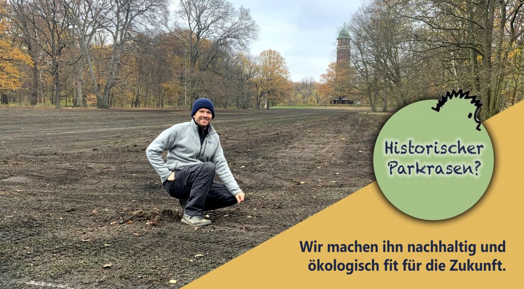 Historischer Parkrasen - Variante2