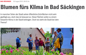 Artikel